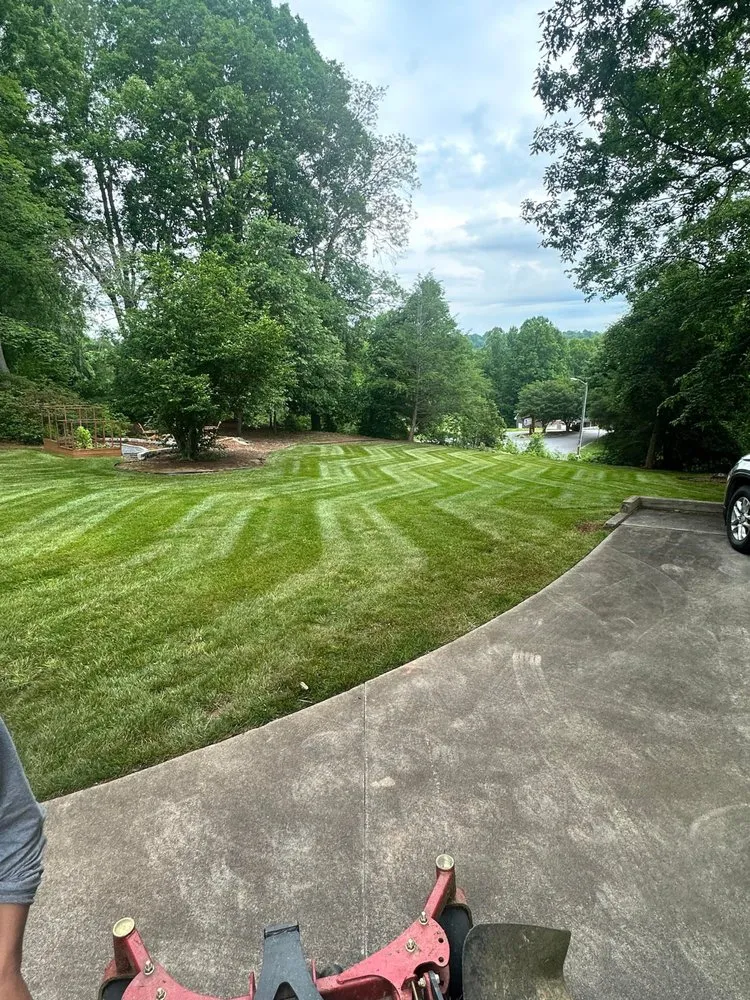 Trusted lawn mowing service for residential properties across Ronda, NC - Elite Lawn Service