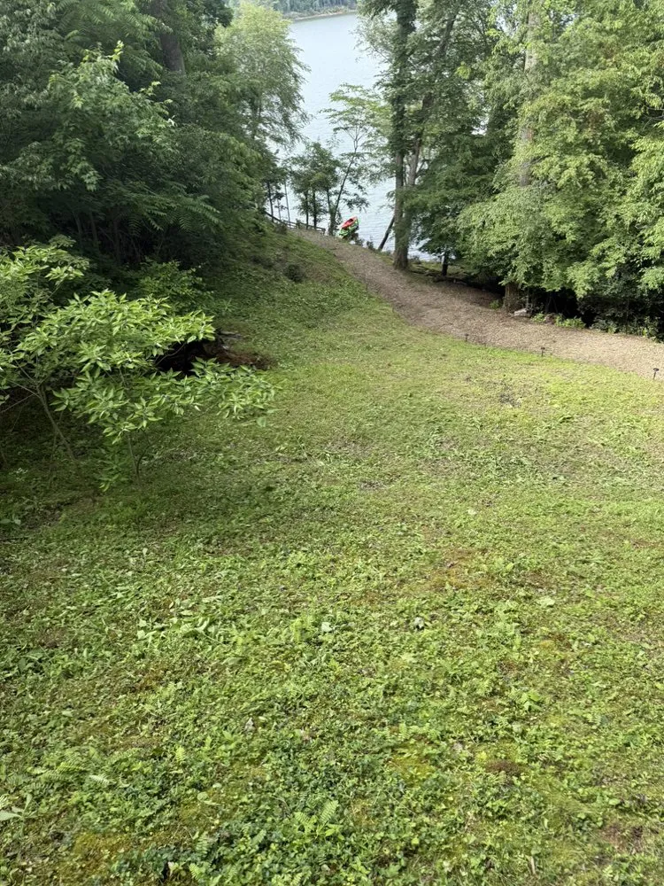 Professional landscaping services in Ronda, NC by Elite Lawn Service