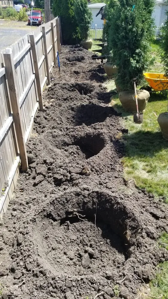 Expert lawn care service in Downers Grove, IL by Elite Lawn Services