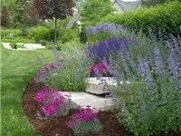 Top-rated outdoor landscaping for year-round maintenance across Downers Grove, IL - Elite Lawn Services