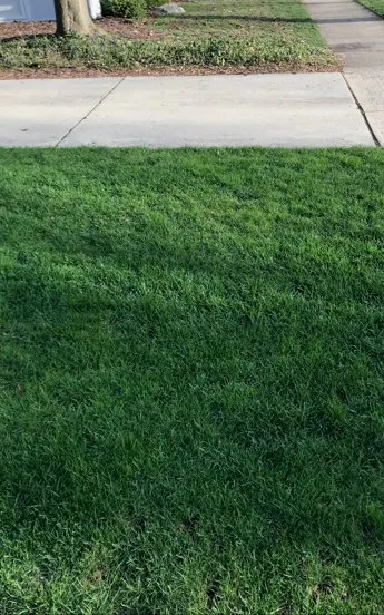 Affordable lawn care service in Downers Grove, IL by Elite Lawn Services