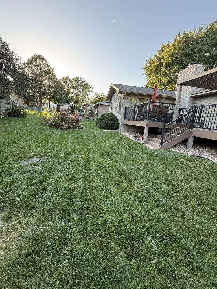 Trusted yard cleanup service with custom design in Lincoln, NE by Elite Lawn Services