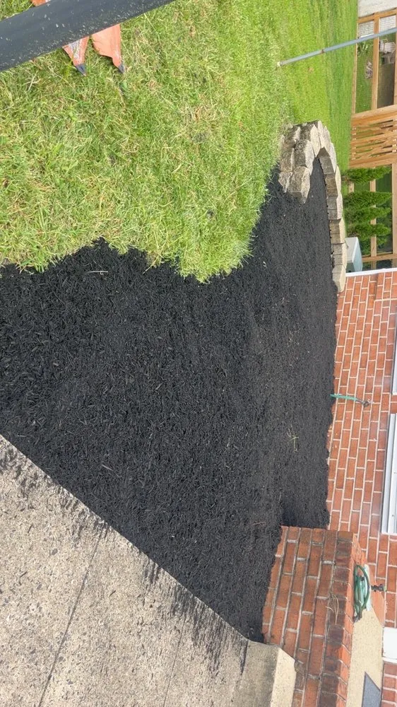 Top-rated yard cleanup service near you across Rising Sun, MD - Elite Lawn Services