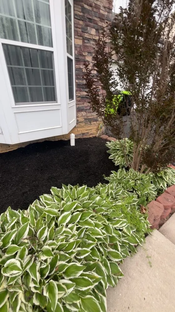 Custom lawn care service in Rising Sun, MD - Elite Lawn Services