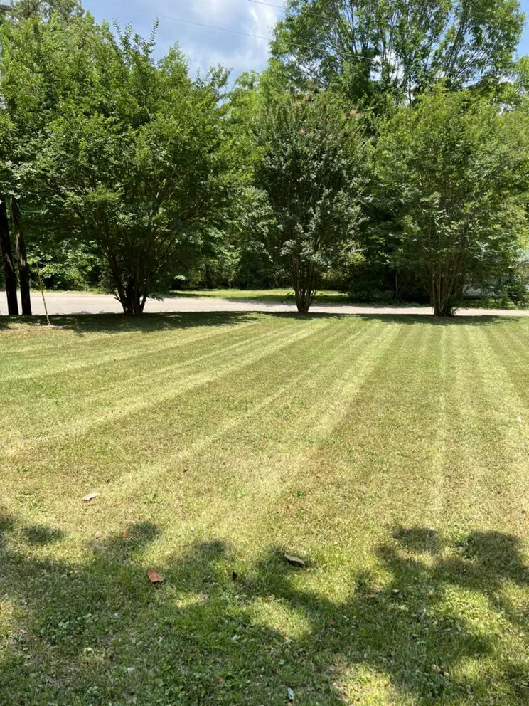 Custom residential landscaping for outdoor upgrades across Selmer, TN - Elite Lawn Services