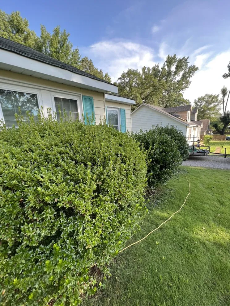 Professional lawn care service in Selmer, TN by Elite Lawn Services