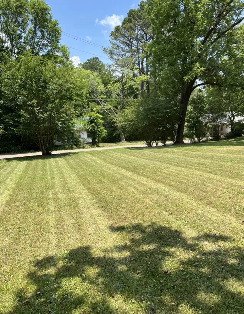 Affordable landscape installation with custom design across Selmer, TN - Elite Lawn Services