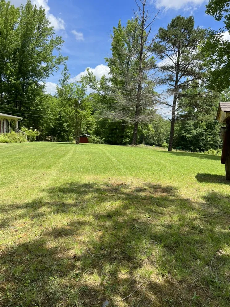 Custom lawn care service in Selmer, TN by Elite Lawn Services