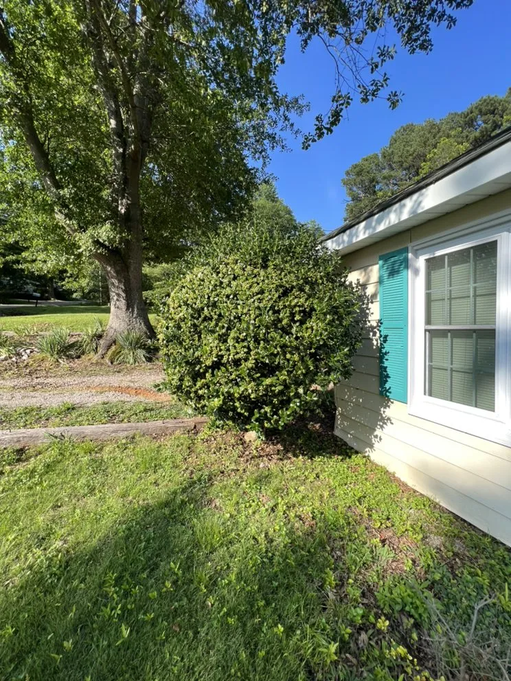 Trusted lawn mowing service experts serving Selmer, TN - Elite Lawn Services