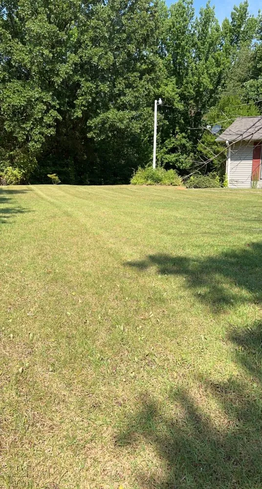 Local landscape installation in Selmer, TN by Elite Lawn Services