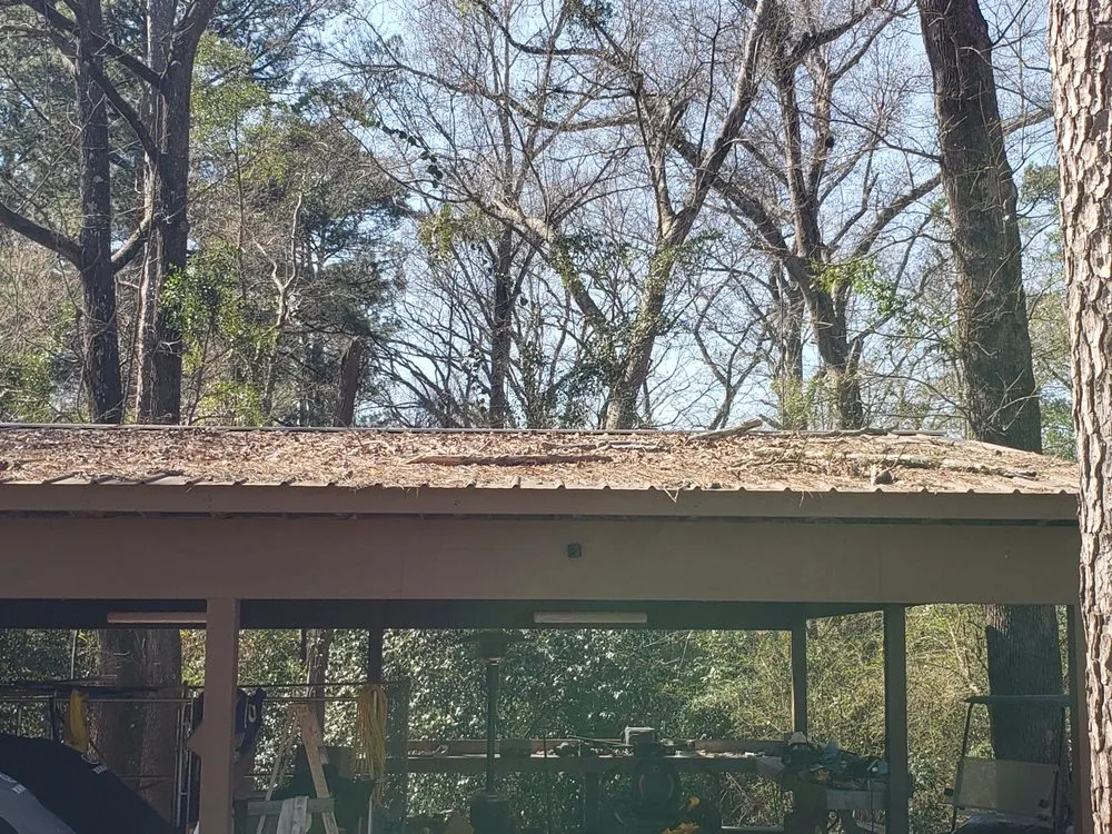 Expert yard cleanup service in Gray, GA by Elite Lawn Solutions & Pressure Washing