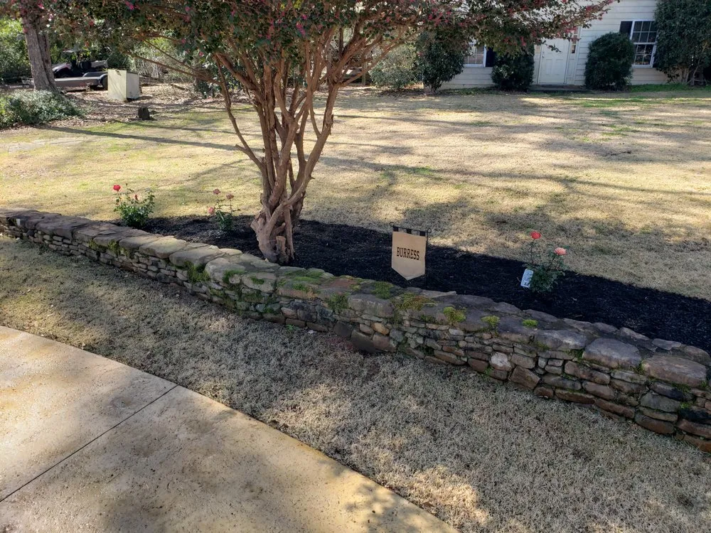 Professional yard cleanup service experts serving Gray, GA - Elite Lawn Solutions & Pressure Washing