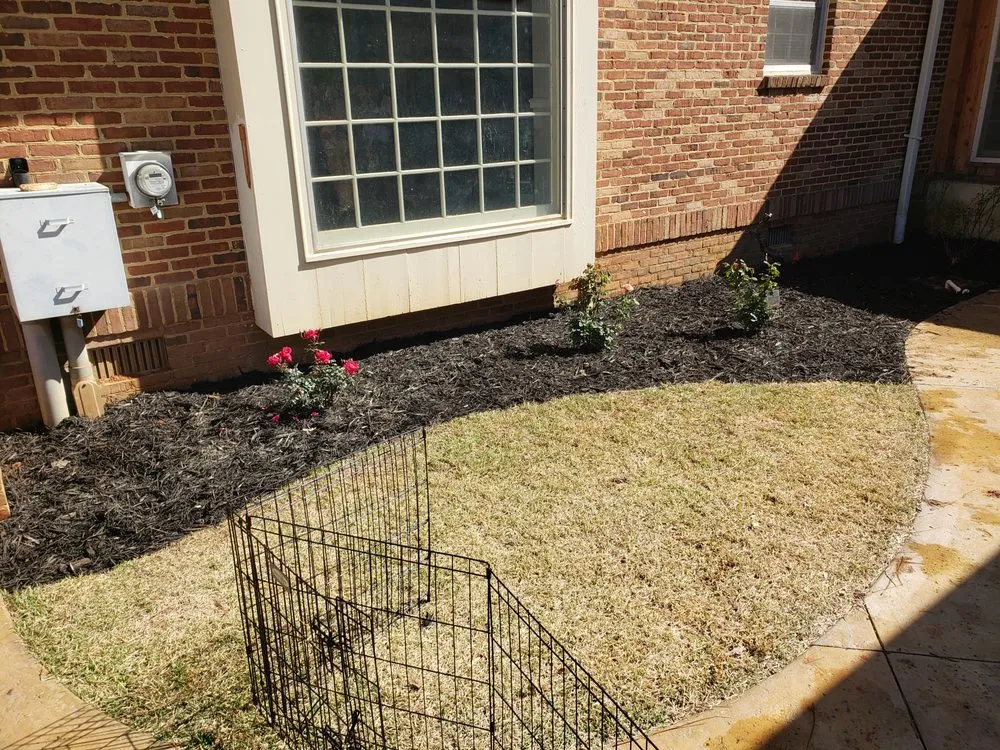 Trusted lawn care service in Gray, GA by Elite Lawn Solutions & Pressure Washing