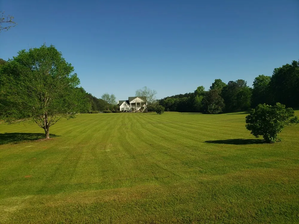 Professional yard cleanup service for residential properties in Gray, GA by Elite Lawn Solutions & Pressure Washing
