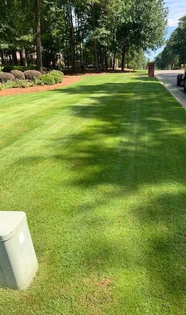 Expert landscape design in Waverly Hall, GA by Elite Lawn Solutions