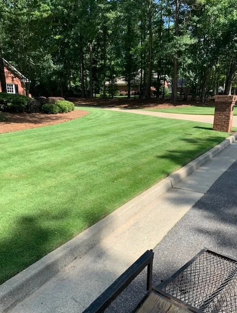Top-rated yard cleanup service experts serving Waverly Hall, GA - Elite Lawn Solutions