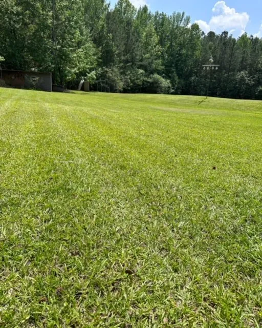 Trusted landscape design in Waverly Hall, GA by Elite Lawn Solutions