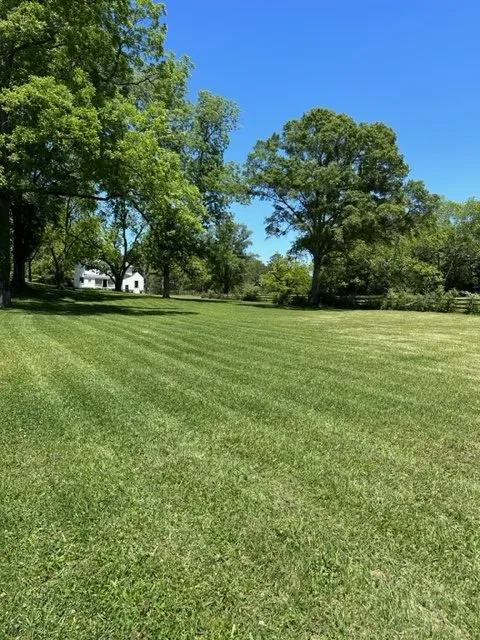 Trusted yard cleanup service in Waverly Hall, GA by Elite Lawn Solutions