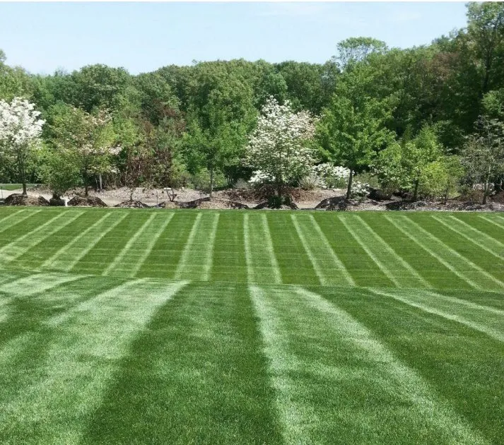 Local garden landscaping in Sellersburg, IN by Elite Lawncare