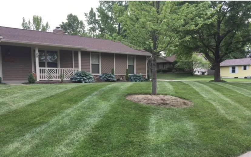 Custom landscape installation experts serving Sellersburg, IN - Elite Lawncare