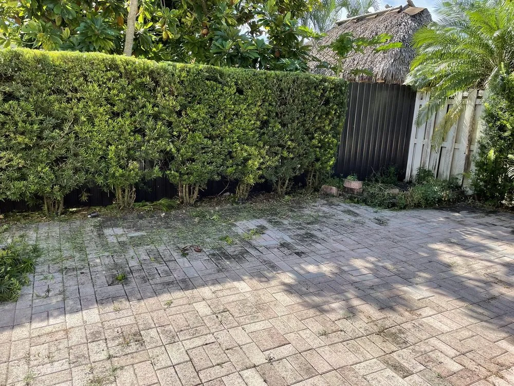 Affordable lawn care service in Miami, FL - Elite LawnCare Service
