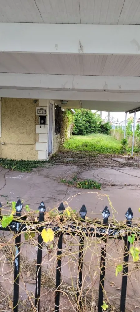 Reliable yard maintenance with custom design across Miami, FL - Elite LawnCare Service