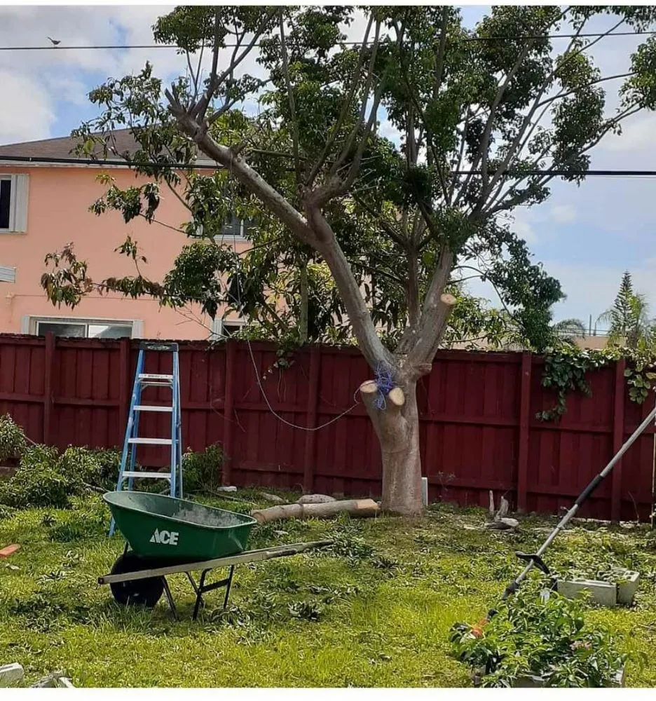 Affordable yard maintenance in Miami, FL - Elite LawnCare Service