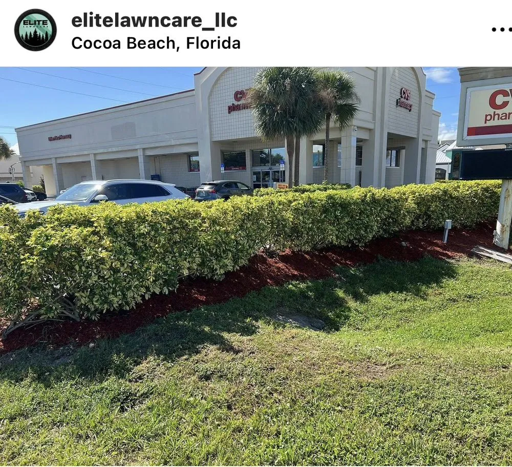 Expert yard maintenance in Miami, FL - Elite LawnCare Service