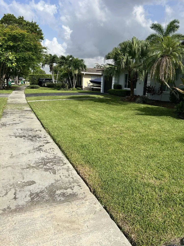 Professional landscape installation in Miami, FL by Elite LawnCare Service