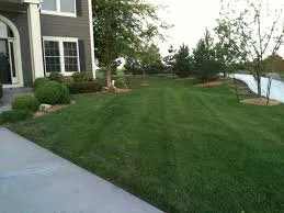 Trusted landscaping services experts serving Louisville, KY - Elite Lawns & Landscapes