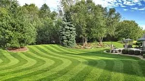 Local lawn care service for residential properties across Louisville, KY - Elite Lawns & Landscapes