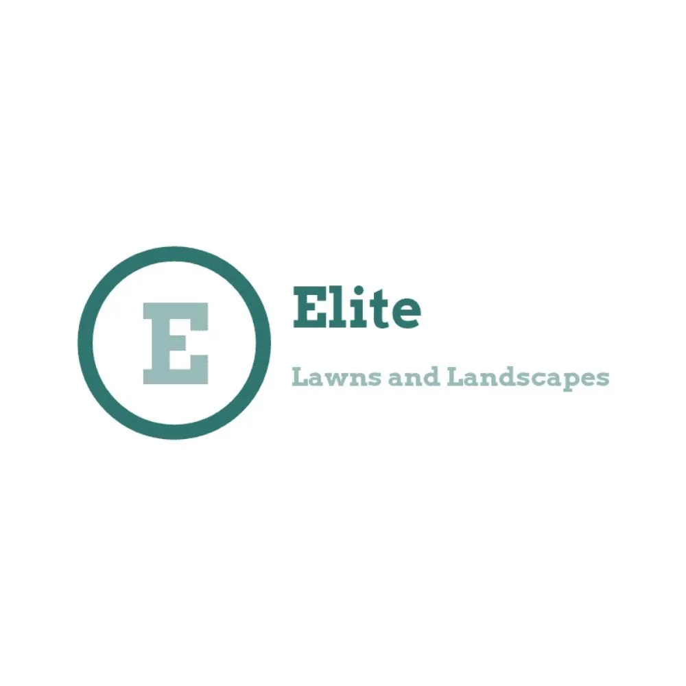 Affordable lawn care service for year-round maintenance in Black Mountain, NC by Elite Lawns and Landscapes