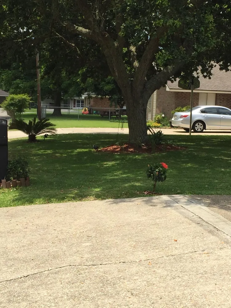 Trusted landscape installation in New Iberia, LA by Elite Lawns