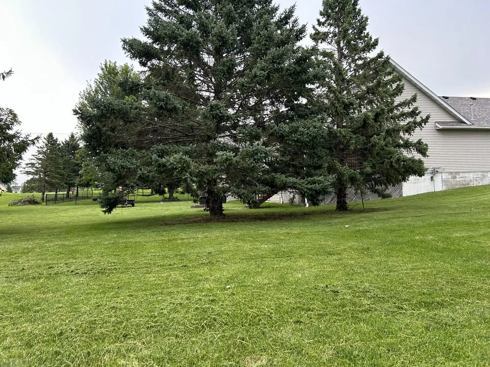 Reliable yard maintenance in Owatonna, MN - Elite Lawns