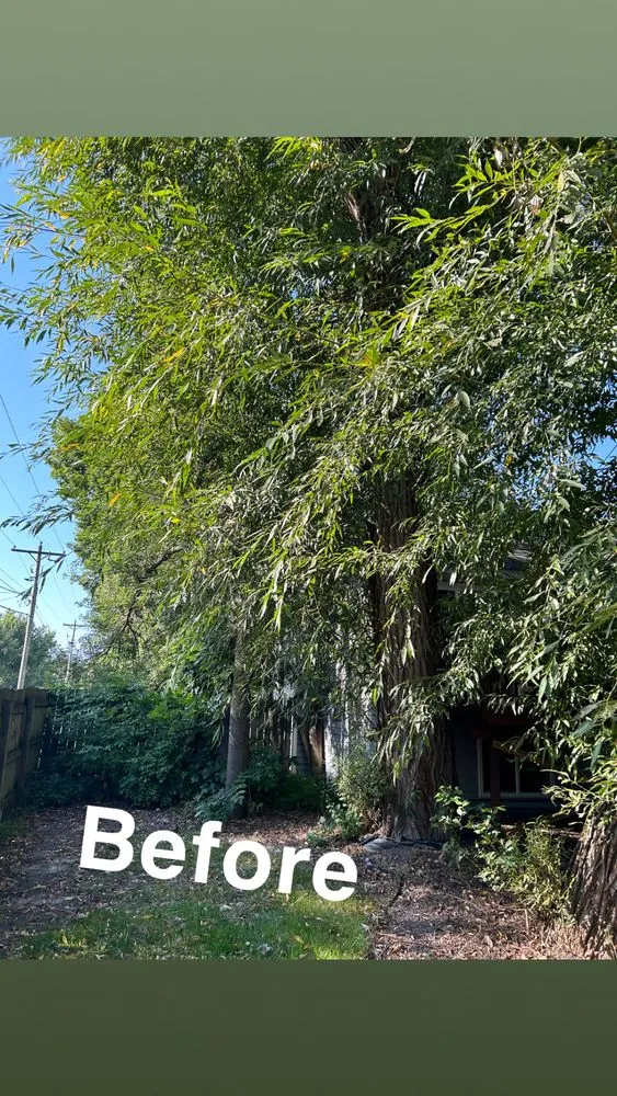 Affordable yard maintenance for outdoor upgrades in Owatonna, MN by Elite Lawns