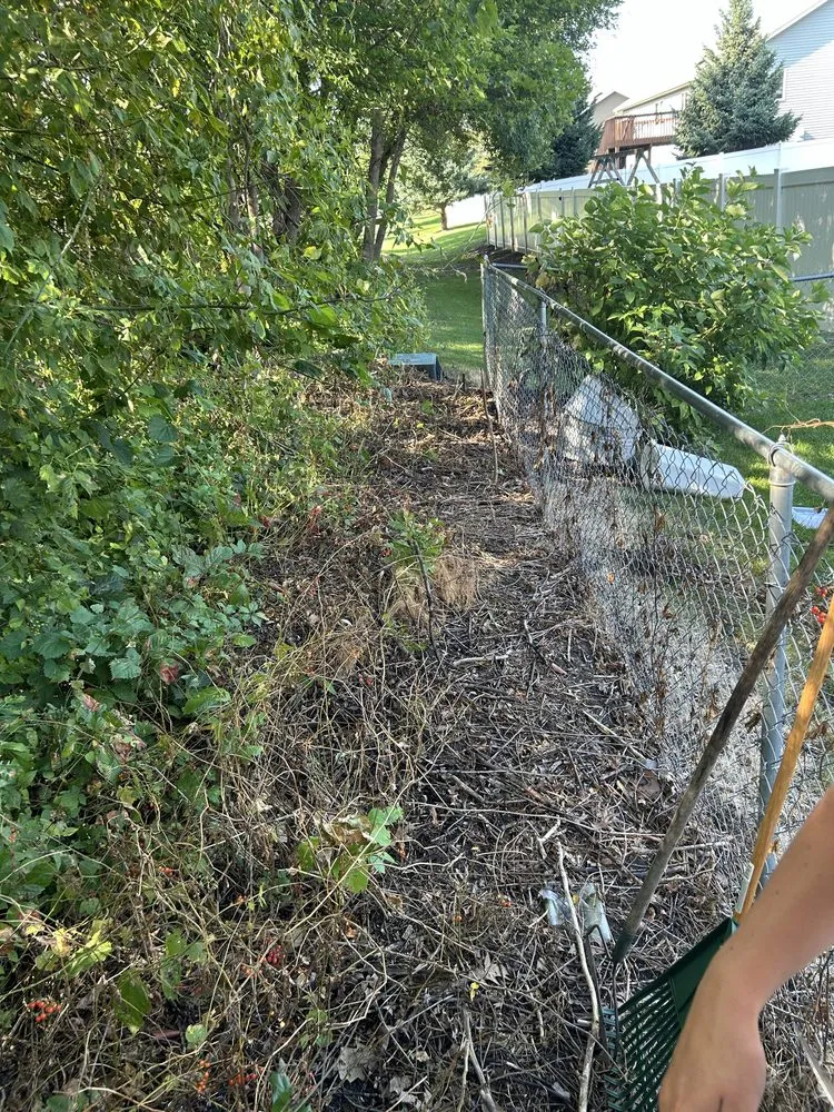 Affordable yard cleanup service experts serving Owatonna, MN - Elite Lawns