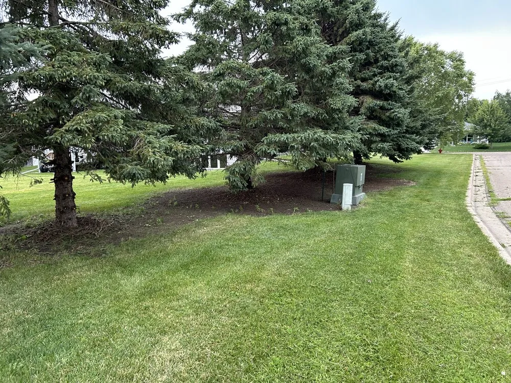 Top-rated landscape design in Owatonna, MN by Elite Lawns