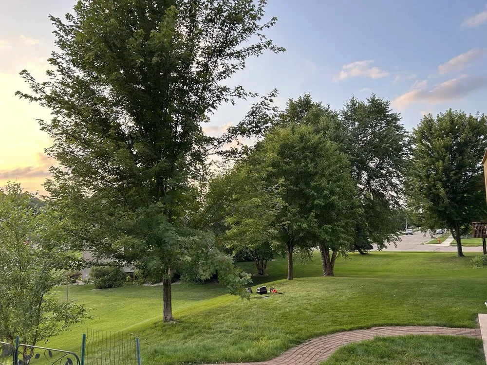 Local landscaping services for homes across Owatonna, MN - Elite Lawns