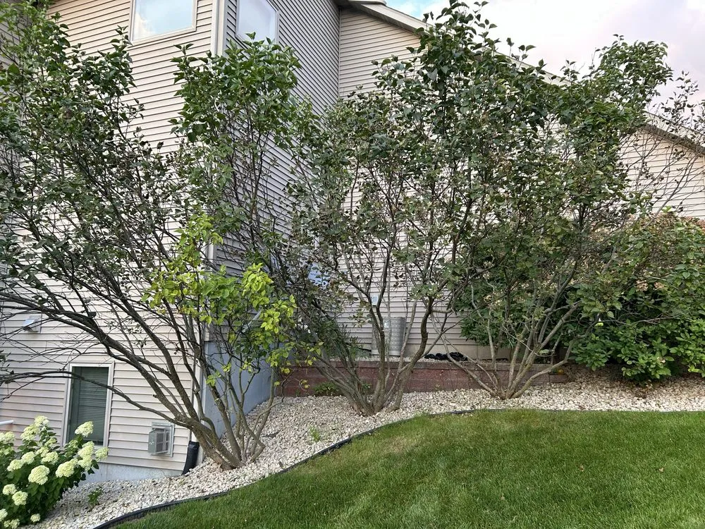 Custom landscape installation experts serving Owatonna, MN - Elite Lawns