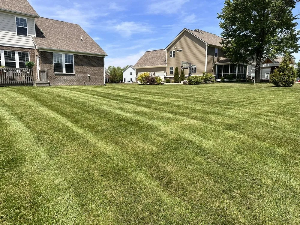 Affordable landscaping services in Pendleton, IN - Elite Lawns