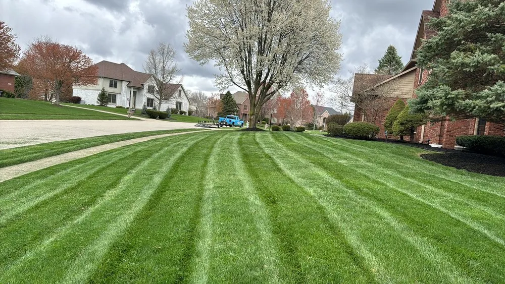 Professional residential landscaping for residential properties in Pendleton, IN by Elite Lawns