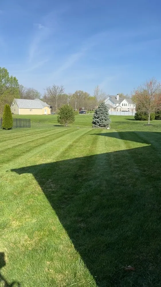 Reliable yard cleanup service for residential properties across Pendleton, IN - Elite Lawns