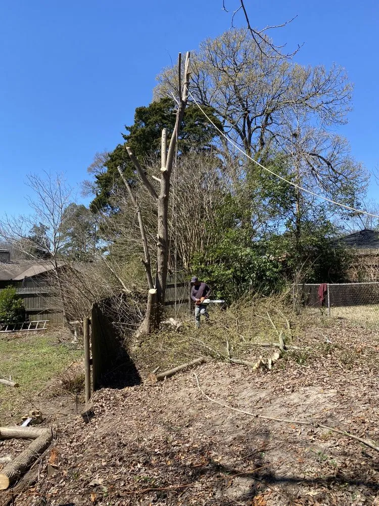 Trusted garden landscaping for outdoor upgrades in Tyler, TX by Elite Lawn&Tree Services