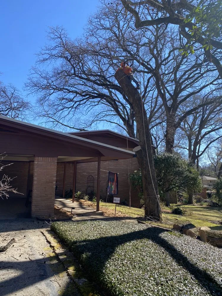 Top-rated landscape installation experts serving Tyler, TX - Elite Lawn&Tree Services