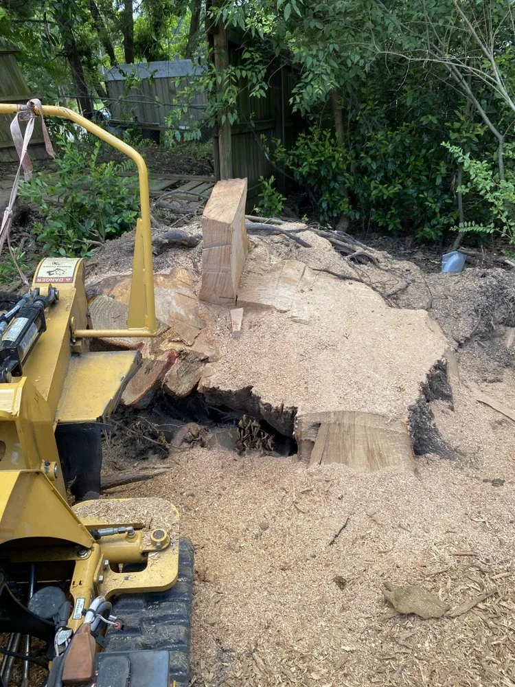 Custom yard maintenance with custom design across Tyler, TX - Elite Lawn&Tree Services