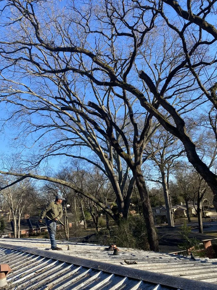 Expert outdoor landscaping experts serving Tyler, TX - Elite Lawn&Tree Services