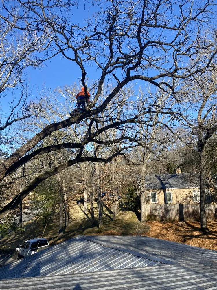 Affordable residential landscaping experts serving Tyler, TX - Elite Lawn&Tree Services