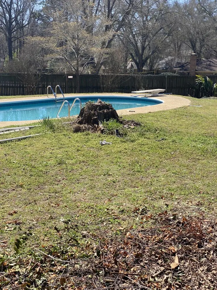 Professional landscape design for outdoor upgrades across Tyler, TX - Elite Lawn&Tree Services