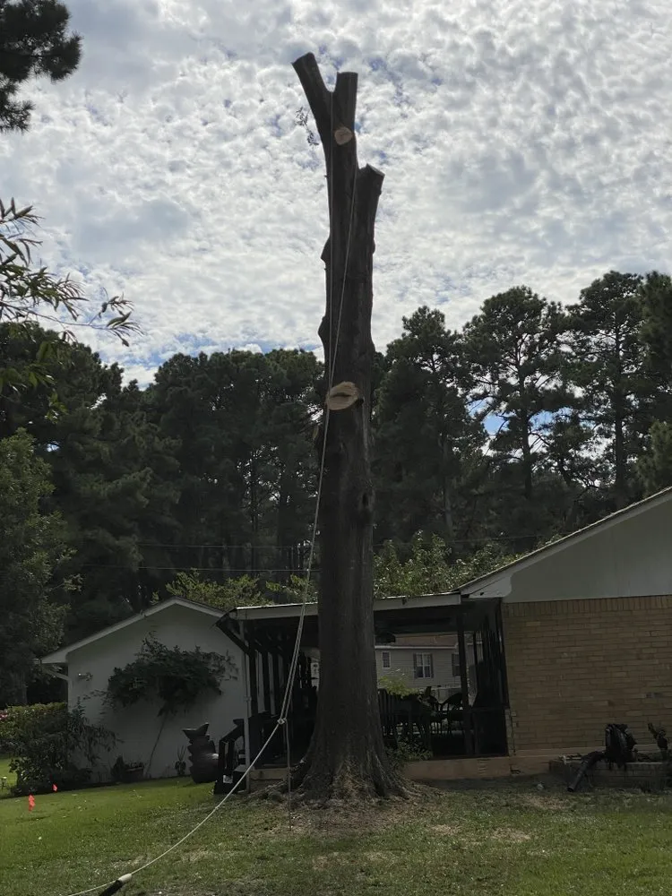 Trusted yard cleanup service in Tyler, TX - Elite Lawn&Tree Services