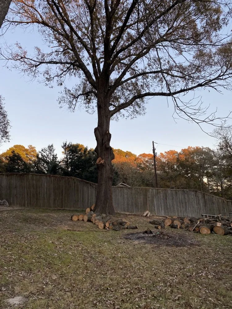 Expert yard maintenance experts serving Tyler, TX - Elite Lawn&Tree Services